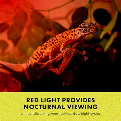 Zilla Incandescent Spot Bulb, for Nocturnal Reptile Species, Night Red - size: Pack of 1, style: Night Red (75W)