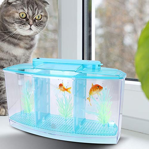 LIZEALUCKY Betta Fish Tank, Adjustable LED Light Acrylic Small Aquarium, Fish Tank Starter Kit with Isolation Plates and Water Change Valve, Blue - color: Blue