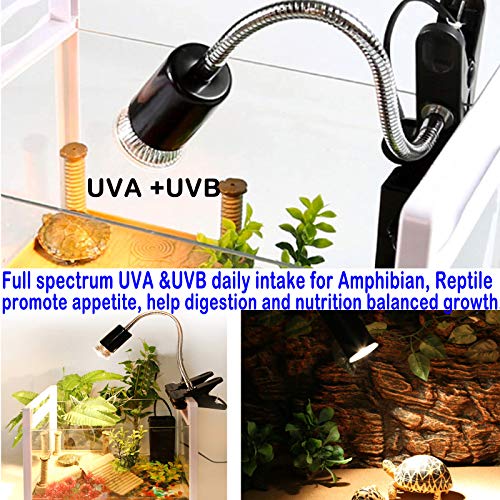 75W Reptile Heat Lamp, Turtle Heating Light UVA UVB Temperature Adjustable 360°Rotatable Clip Basking Lamp for Amphibian Reptile Turtle Lizard Snake (Heat Light with 2pcs 75W Bulb) - size: Heat light with 2pcs 75W Bulb