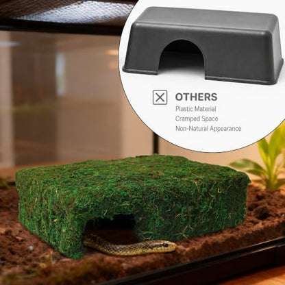 Handmade Reptile Moss Cave M, 9.4" Shelter for Gecko Hamster | Moss reptile cave hide, Smooth edges, no injury, Suitable for humid environments - color: M Green
