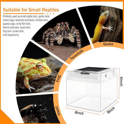 Reptile Terrarium, Jumping Spider Enclosure Starter Kit, Leopard Gecko Habitat Container, 8"x8"x6"Reptile Tank for Tarantula, Hermit Crab, Insect, Fish, Frog, Small Bearded Dragon, Lizard - size: 8"x8"x6"