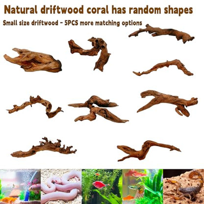 Hamiledyi 5PCS Driftwood for Aquarium 3.5-7in Drift Wood Branches Betta Fish Tank Decor Accessories - size: Mopani driftwood 3.5-7in 5PCS