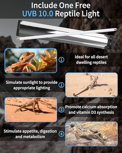LUCKY HERP T5 Reptile Light Fixture Combo Kit 24W (New Upgrade), UVB Reptile Light Fixture with Desert UVB 10.0 22" Fluorescent Tube, UVA UVB Reptile Light for Lizard, Bearded Dragon, Tortoise - size: 22 Inch