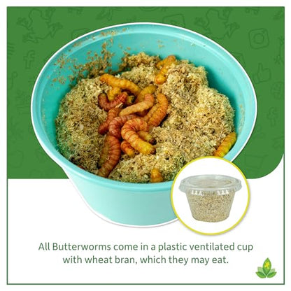 Josh's Frogs Butterworms (25 Count) for Reptiles, Amphibians & Arachnids | for Reptiles, Amphibians & Arachnids