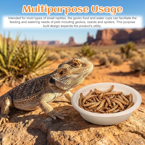 300 Pack 1 Oz Gecko Feeding Cups Food Cups Disposable Paper Bowls Reptile Water Dish for Crested Gecko, Lizards, Snakes, Spiders, Frogs, Hermit Crabs