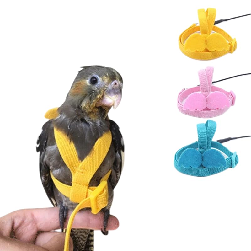 3pcs Parrot Flying Harness Leash Suit Pet Bird Outdoor Flight Training Rope Cockatiel Supplies Macaw Accessories Stuff for Budgie