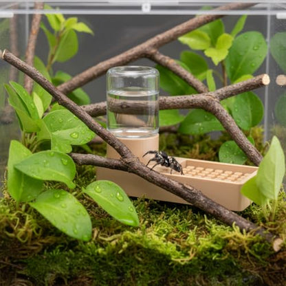 Jumping Spider Enclosure Accessories Kit Water Dispenser Magnetic Tree Trunk Hide with Artificial Moss Tree House Climbing Rope Spider Habitat Decor for Jumping Spider Terrarium Reptile Tank