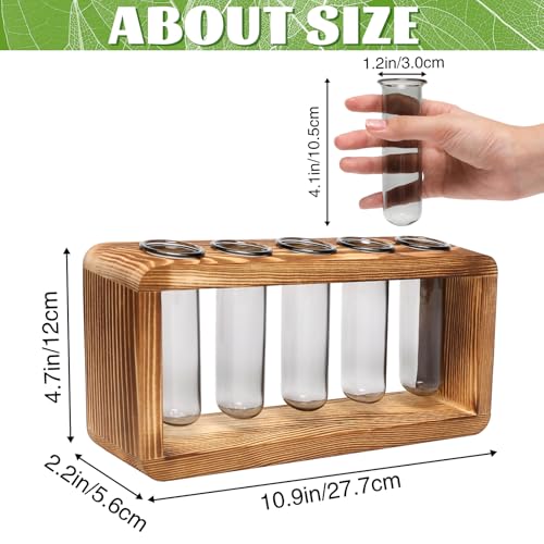 Glass Plant Propagation Station with 5 Test Tubes Colorful Planter Vase | Birthday Gifts for Women in Wooden Stand - color: Gray