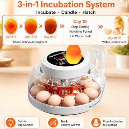 Upgraded Egg Incubator for Hatching Eggs, 12 Egg Capacity with Automatic Egg Turner, Temperature & Humidity Control, LED Egg Candler, Chick Incubator for Chicken, Duck & Quail Eggs - size: 12 EGGS
