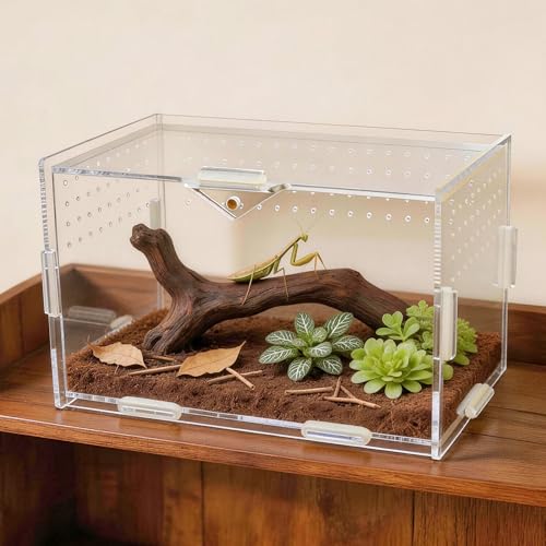 Portable Acrylic Jumping Spider Terrarium with Magnetic Lock 7.9×4.7×4.7" | Ventilated design; secure magnetic lock closure. Designed for small reptiles & insects. Lightweight for travel and display - size: 7.9×4.7×4.7 Inch