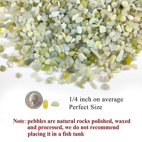 FANTIAN 5 lbs Jade Pebbles for Indoor Plants,1/4 inch Polished Gravel Rocks for Plants, Succulents, Cactus, Vases, Terrarium and Outdoor Gardening - size: 5 pounds, style: Jade