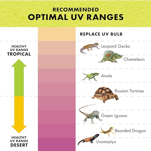 Zilla Rapid Sense UV Detecting Pet Reptile Terrarium Décor, Detects UVB Levels, Crocodile Skull, Medium - size: Medium
