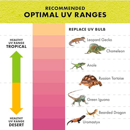 Zilla Rapid Sense UV Detecting Pet Reptile Terrarium Décor, Detects UVB Levels, Crocodile Skull, Medium - size: Medium