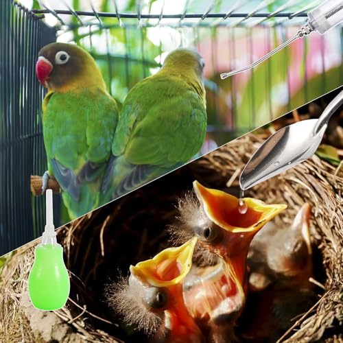 50ML Baby Bird Feeding Syringe Set Pet Syringe | With 6 Pcs Curved Gavage Feeding Tubes and Bird Drinker Stainless Steel Metal Feeding Spoon for Baby Birds Parrot Small Pet - size: 50ML