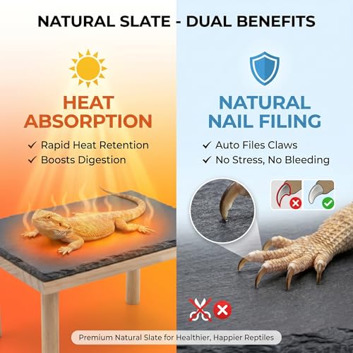Bearded Dragon Basking Platform, Natural Slate Reptile Basking Rock with Wooden Climbing Ramp, Terrarium Habitat Decor for Lizard, Leopard Gecko, Tortoise, Snake