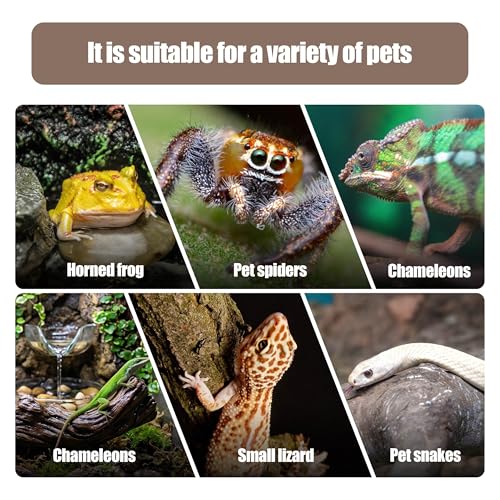 Pet climbing simulated tree branches, natural wood texture resin decoration, glass tank tree trunk decoration, suitable for bearded dragon lizards, geckos, frogs, chameleons, spiders, etc