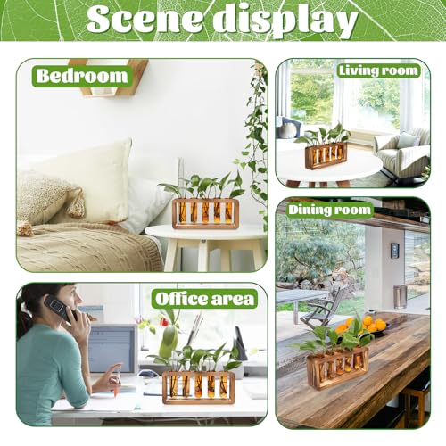 Glass Plant Propagation Station with 5 Test Tubes Colorful Planter Vase | Birthday Gifts for Women in Wooden Stand - color: Amber