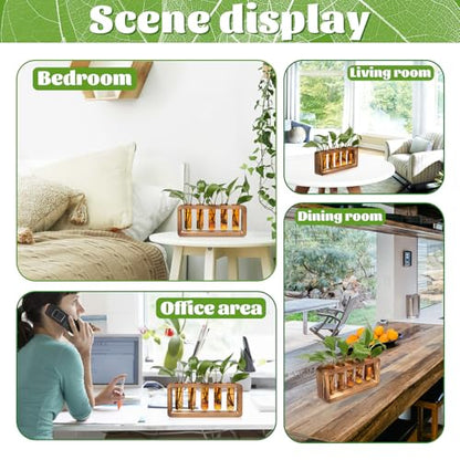 Glass Plant Propagation Station with 5 Test Tubes Colorful Planter Vase | Birthday Gifts for Women in Wooden Stand - color: Amber