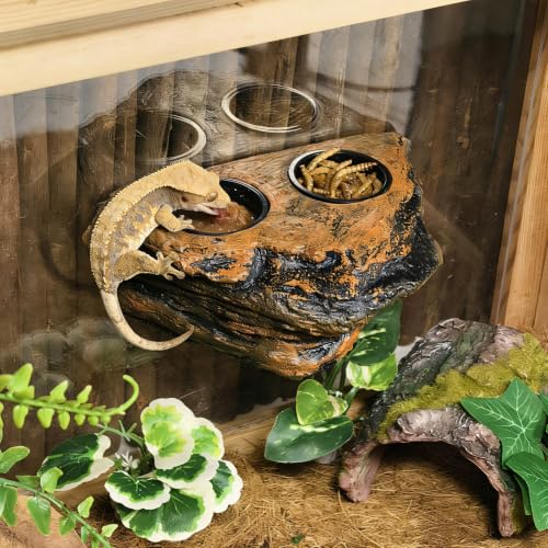 Tfwadmx Magnetic Reptile Feeder Ledge, Gecko Feeder Ledge with 6 Cups Reptile Feeding Bowls Food Dish Water Bowl Tank Accessories for Lizards Chameleons Frog(Blown) - color: Brown