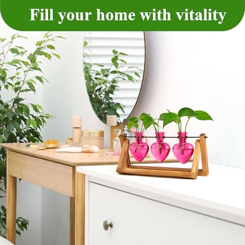 XXXFLOWER Plant Terrarium Propagation Stations 3 Heart Shaped Vases | Unique Terrarium Jar Gifts for Women Wife Mom Plant Lovers, Hydroponics, Home Garden Office Decor - size: 3 Heart Vase