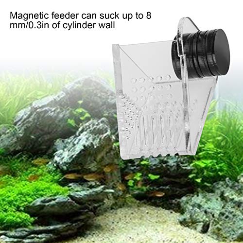 Aquarium Transparent Acrylic Feeding Container Fish Cone Feeder with Magnetic Suction Fish‑Box Feeder for Aquarium Accessories