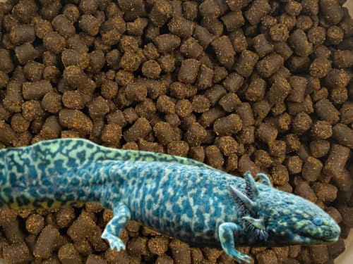 Axolotl Food Soft Moist Sinking Pellets for Axolotls,5/32" 4.0mm Rangen Salmon Sinking Soft Pellets with Squid,Shrimp & Spirulina A5R (1oz Sample) - size: 1 Ounce (Pack of 1)