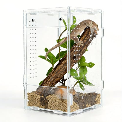 5x5x8 Acrylic Reptile Enclosure - Clear Small Pet Terrarium | Distortion-free all-acrylic build with top and side ventilation for clear observation - size: 5"5"8"