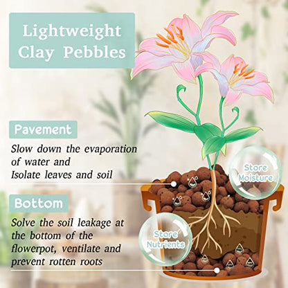 6LB Leca Clay Pebbles for Plants, 4mm-16mm Clay Balls for Hydroponic | Drainage, Reusable, Aeration, Moisture Retention, Lightweight, Natural Leca for Orchids, Succulents, Terrariums, Aquaponics - size: 6LB
