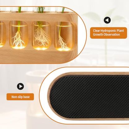 Rechargeable Plant Propagation Station with Wooden Stand,Desktop Terrarium Home Decor Dimmable LED Light 4 Glass Tubes Vases for Hydroponic Plants for Women