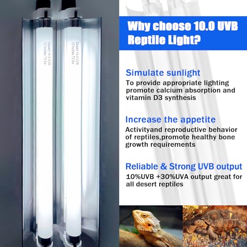 Celiwace T5 Reptile Light Fixture Combo Kit 16 Watts, 12 Inches UVB Light 2x8 Watt, T5 10.0 UVB Reptile Light Fixture, Desert Reptile Light for Lizard, Bearded Dragon, Tortoise - size: 16W Light Fixture Kit (2 Bulbs)