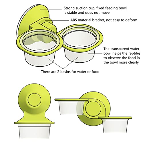 Bearded Feeding Food Water Bowl Worm Dish Suction Cup Feeder Supplies for Small Reptiles Feeder Tongs Live Dish Escape Bowl Automatic Cups Box