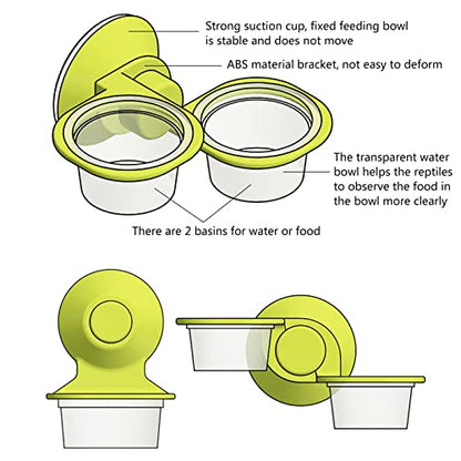 Bearded Feeding Food Water Bowl Worm Dish Suction Cup Feeder Supplies for Small Reptiles Feeder Tongs Live Dish Escape Bowl Automatic Cups Box