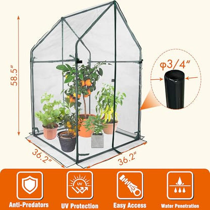 Gardzen Mini Greenhouse with Zipped Mesh Cover 36.2"(L) x36.2(W) x59.5(H) | Steel Frame Portable Outdoor Greenhouse, Enhanced Ventilation, Ideal for Spring, Summer & Fall - size: 36”(L) x36”(W) x59”(H)