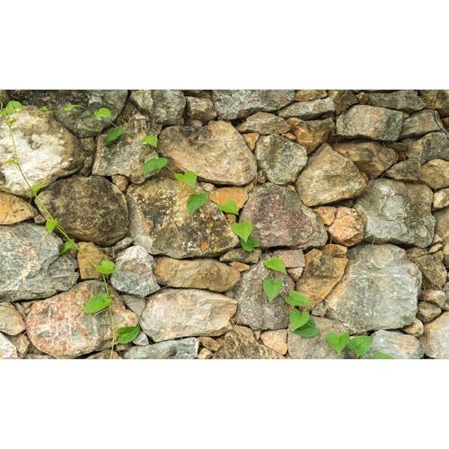 Rock Wall Aquarium Background Nature Stone Green Plants Fish Tank Background Natural Rocky Terrarium Backgrounds Rock Wall Texture Stone Rocky Reptile Tank Enclosure Backgrounds 24x12in - color: Khaki, size: 24(W)x12(H)inches/ 60(W)*30cm(H)