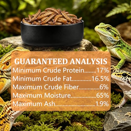 2 Pack Gourmet Canned Superworms for Reptiles & Exotic Pets, Healthy High Protein Pet Treats, Supe Worms for Lizards, Reptiles, Birds, Fish, Hedgehogs etc, 5.5 oz Total