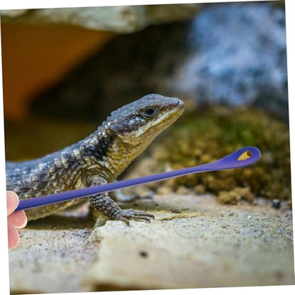 Yardwe 2Pcs Stainless Steel Reptile Food Spoon Reusable Feeding Tool for Lizards Small Reptiles Compact Design for Easy Pet Care