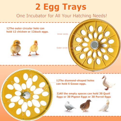 Egg Incubators for Hatching Eggs, Temperature&Humidity Control | Automatic Egg Turning,Auto Stop Turning,Built-in Egg Candler, incubating chicken/duck/goose/quail/parrot eggs