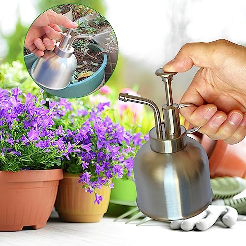 Stainless Steel Plant Sprayer, Small Watering Can for Indoor Potted Plants - color: 10oz/ Matte Silver