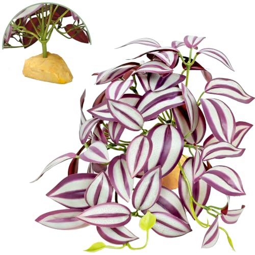 Woyrise Reptile Plants for Terrarium Decor, Ball Python Tank Accessories fit Bearded Dragon Crested Leopard Gecko Lizard Chameleon Snake Frog Tortoise Hermit Crab - Fake Zebrina Purple - color: H-fake Tradescantia Zebrina Purple