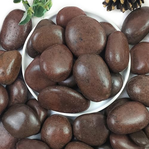 Rocks for Plant 5lbs, Red River Rocks 2-3 Inch Natural Pebbles for Indoor Plants, High Polished Decorative Stones Vase Filler Fish Tank Aquariums Landscaping Garden - color: Red, size: 5 Pounds
