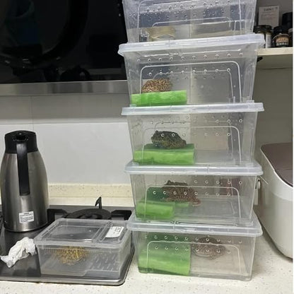 10 Pcs Reptile Feeding Boxs, Plastic Spider Terrariums Breeding Box Feeder Insect Container Feeding Box for Small Reptile Bearded Dragon Lizard Spider Gecko Scorpion 5.9 x 3.9 x 2.5 in