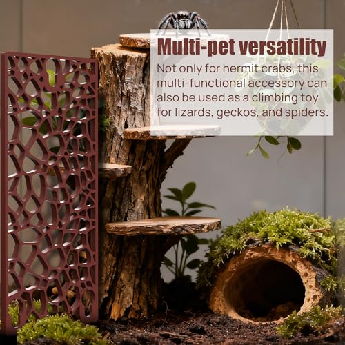Hermit Crab Ladder Climbing Toy | Hermit Crab Accessories | Climbing Net for Aquarium Exploration