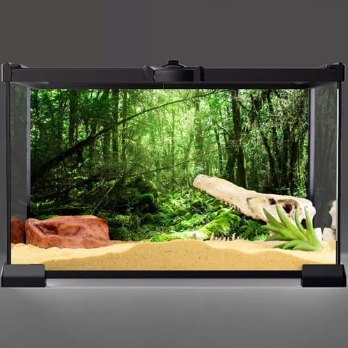 AWERT 36x18 inches Tropical Terrarium Background Rainforest Aquarium Background Green Tree Reptile Habitat Background Vinyl | AWERT Vinyl Tropical Rainforest Aquarium Background - size: 36x18in/90x45cm