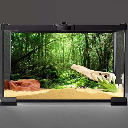 30x12 in Forest Terrarium Backdrop Green Tree Reptile Habitat Background | AWERT Vinyl Tropical Rainforest Aquarium Background - size: 30x12in/75x30cm