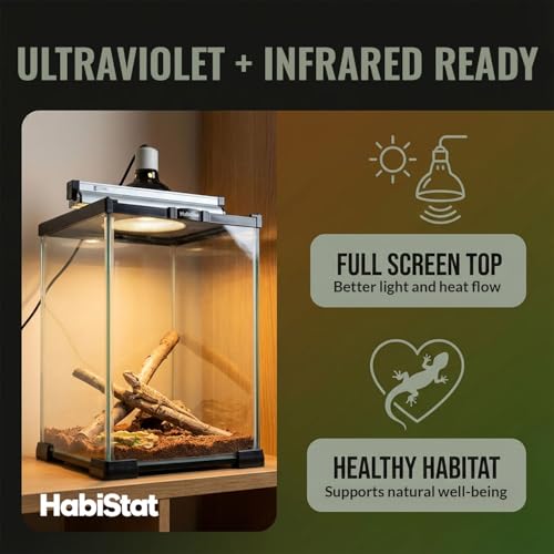 Habistat Mini Glass Terrarium for Reptiles 8"x8"x12" – Stackable Reptile Enclosure for Inverts & Amphibians with Lock & Watertight Base, Ideal Terrarium Tank for Geckos and Indoor Bioactive Setups - size: 8"x8"x12"