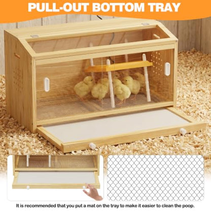 Wooden Chicken Brooder Box with Heating Plate Brooder Heater for Chick Brooder Indoor 32x16x18'' Accommodates Up to 15 Chicks Ideal for Chickens Ducks Quails Hamsters Lizards - size: 31.5 x15.7 x18''