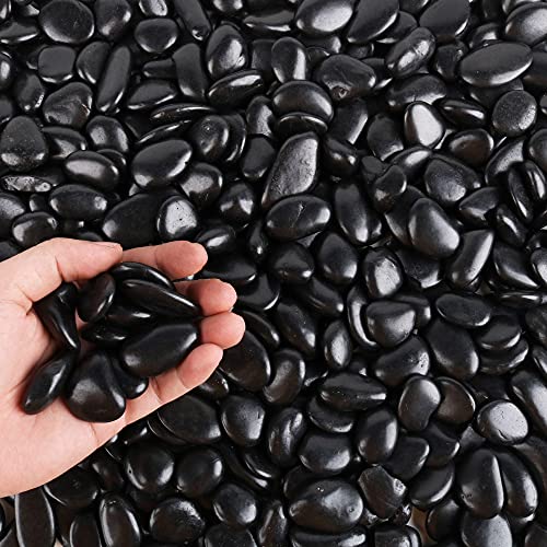 Black Pebbles for Plants 3lb Bulk Bag 0.5"- 1" Aquarium Gravel Decorative Polished Stone Natural River Rocks for Fish Tank… - size: 3LB, style: Black