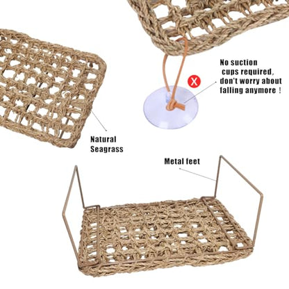 Bearded Dragon Hammock Reptile Tank Accessories Decor Basking Platform Metal Legs Bed Habitat for Lizard Leopard Gecko Snake Hermit Crab and Frog (Rectangle) - style: Rectangle