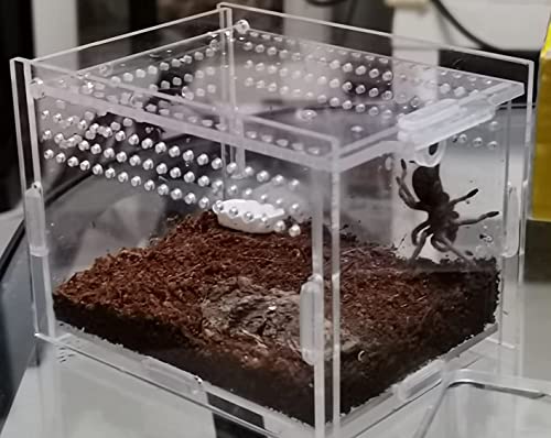 AWXZOM Magnetic Acrylic Case, micro habitat small Tarantula Enclosure enclosure for arboreal Tarantula Scorpion Sling Lizards Mantis Snake Gecko jumping spider snail Insect Isopods (3.5*3.5*3.7inch) - size: 3.5*3.5*3.7inch