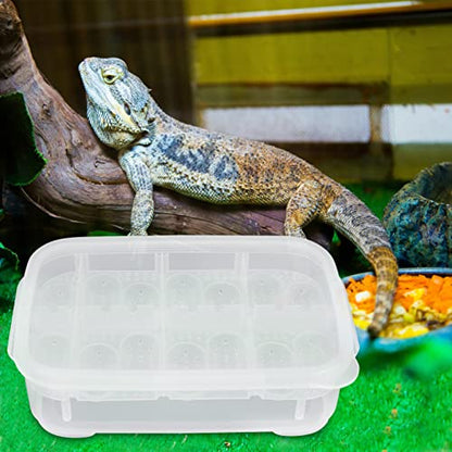 Compartment Reptile Hatchery Egg Incubation Box Heat Lamp for Enclosures